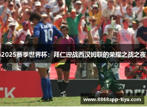 2025赛季世界杯：拜仁迎战西汉姆联的荣耀之战之夜